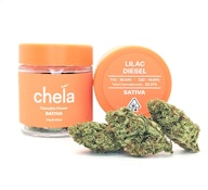 Chela 1/8th - Lilac Diesel (Out Door)