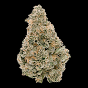 Key Lime Kiss | 3.5g | Buds