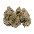 Product Preview Image 2
