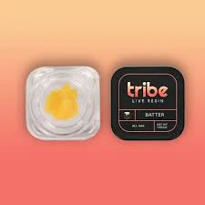 Tribe - TRIBE | 1G LIVE BATTER | THUNDER BUDDER Main Image