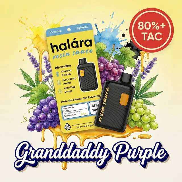 Halara - 1g Granddaddy Purple Live Resin Sauce / All-in-One / Halara Main Image
