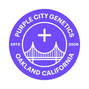 Purple City Genetics Papaya Plum Seed 3pk (Autoflower) PD