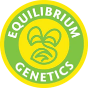 Equilibrium Grape Gas Clone PD