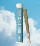 Strawberry Guava Pre-Roll - 1g