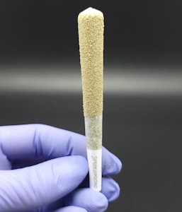 DECIBEL FARMS - Banana Pie, LOUDs, Infused Preroll, 1g