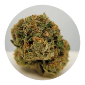 THC - Loukoum Flower
