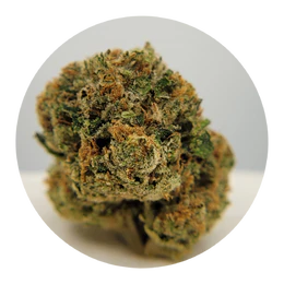 The Hempire Collective - THC - Loukoum Flower Main Image