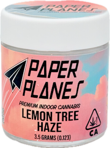 Paper Planes - Lemon Tree Haze 3.5g Jar - Paper Planes