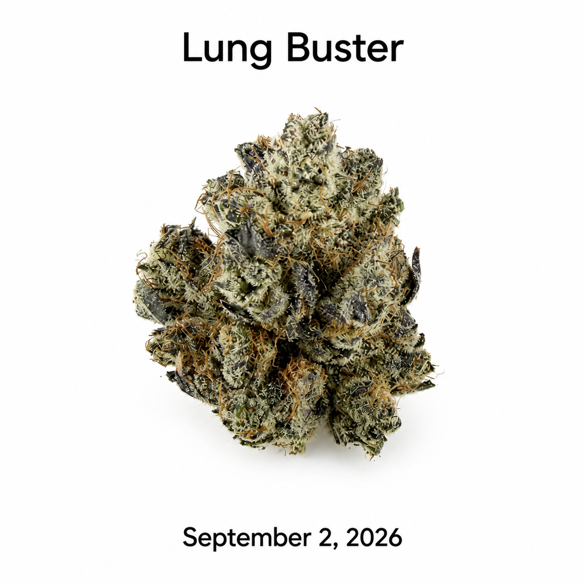 Lung Buster flower
