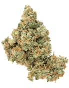 Pruf Cultivar Jack Herer