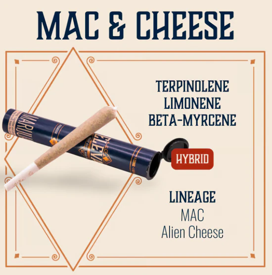 Elevate - Mac & Cheese Pre-Roll - 1g Main Image