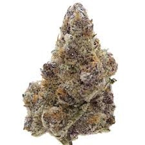 Exquisite Premium Hemp Co. - Exquisite Premium Mac & Gary Indoor THCA Hemp Flower