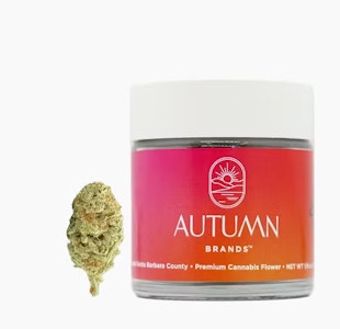 AUTUMN BRANDS - MULE FUEL 3.5G