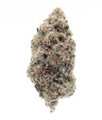 TVC | Mac & Jelly | Bulk Flower