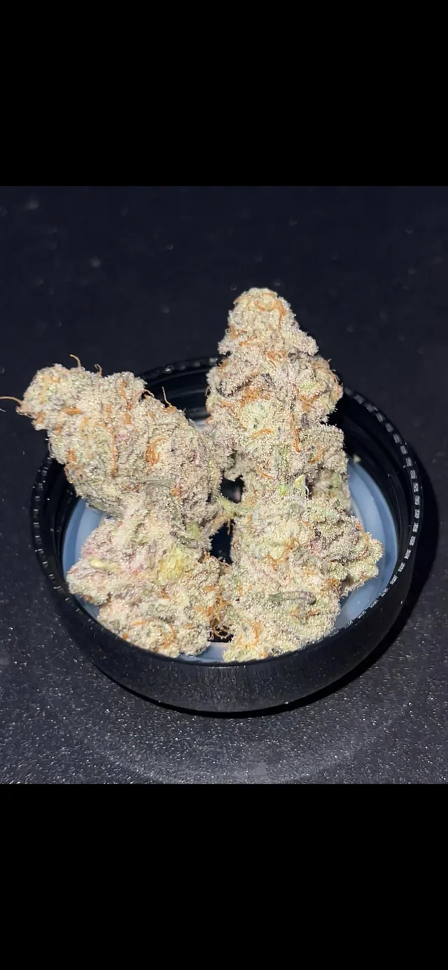 Noble | MAC 1 | 7g