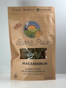 Burr's Place Macaroon #1 1/2 PD 33%