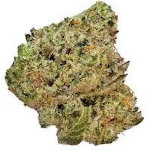 Rare Michigan Genetics - Buds - Macinawe