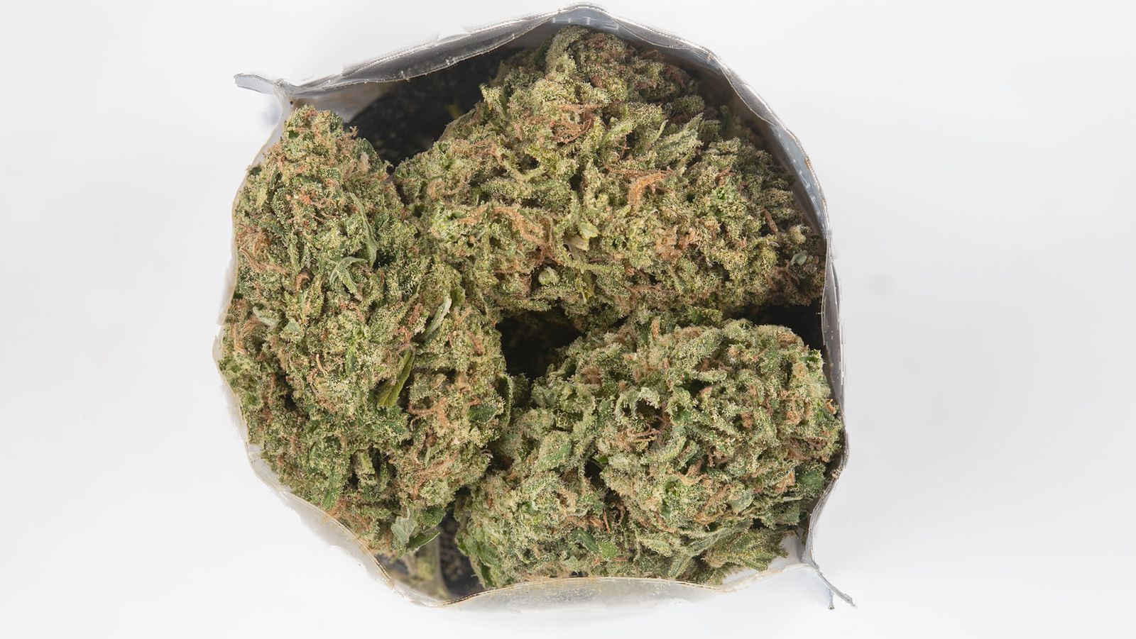 Madrone | Gelato #41 | 14g