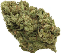 Madrone | Ice Cream Cake | 3.5g