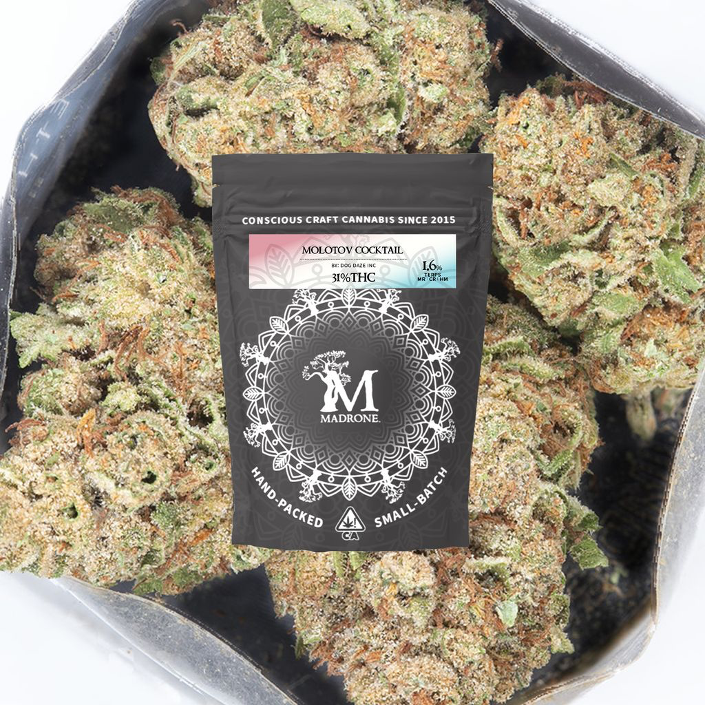 Madrone | Molotov Cocktail | 3.5g