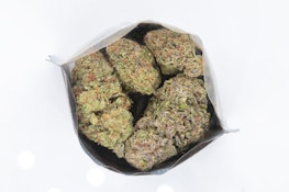 Madrone | Mule Fuel | 28g