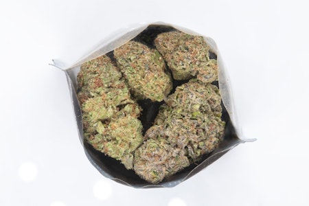 MADRONE - Madrone | Mule Fuel | 28g