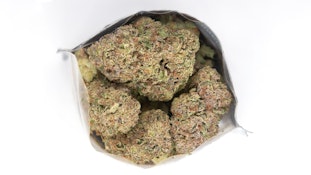 Madrone | OG Gusher | 3.5g