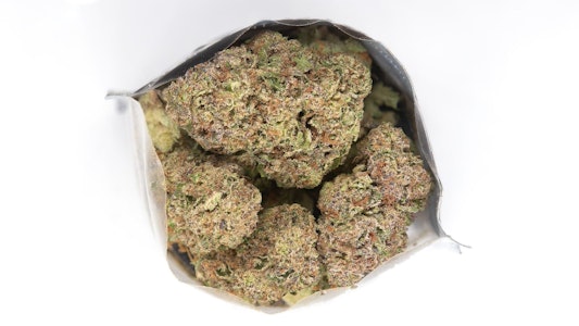 MADRONE - Madrone | Chem Scout | 3.5g