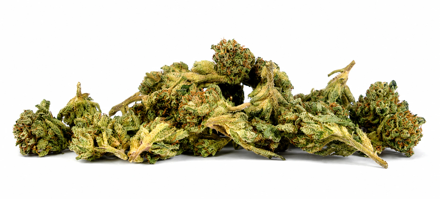 Madrone - Madrone | Street Guru | Smalls | 14g Main Image