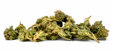 Madrone | Street Guru | Smalls | 28g