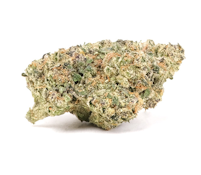 Madrone | Strawberry Gushers | 14g