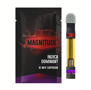 MAGNITUDE - Magnitude | Ghost Memory OG  | 510cart | 1g indica