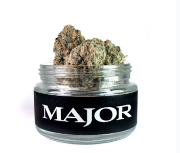 Major - Major | Ewing | 3.5G Hybrid