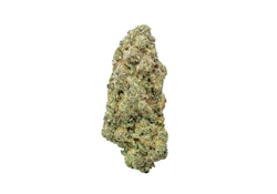 Coastal Roots | Mandarin Cookies | 7g Flower | [S]