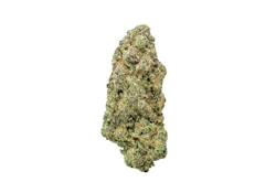 Coastal Roots | Mandarin Cookies | 3.5g Flower | [S]