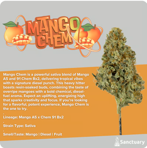 Sanctuary - Mango Chem Flower - 3.5g - SAN