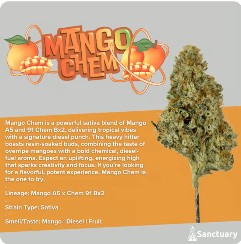 SANCTUARY - Mango Chem Flower - 3.5g - SAN Main Image