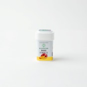 Elevated - Gummies - 100mg - Mango (H)