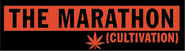 Marathon - Blue Bandit Mini Torches Prerolls 5pk 3.5g