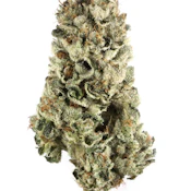 Dolla Treez | Flower | Marshmallow | 3.5g