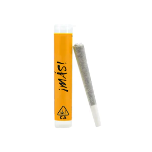 Mas - 1g MAS Preroll - Super Silver Haze 22%