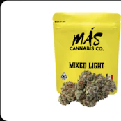 Cheetah Piss 3.5g