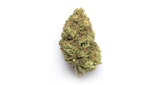 Hecate Gardens Marshmellow OG