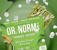 Matcha RKT (100mg) by Dr. Norm's