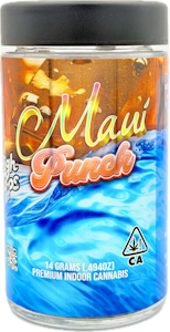 HIGHTOPS - Maui Punch 14g Jar - High Tops