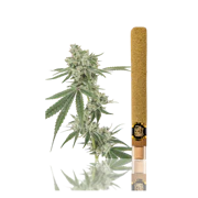 Left Coast | Maui Waui | Infused Blunt | 2g