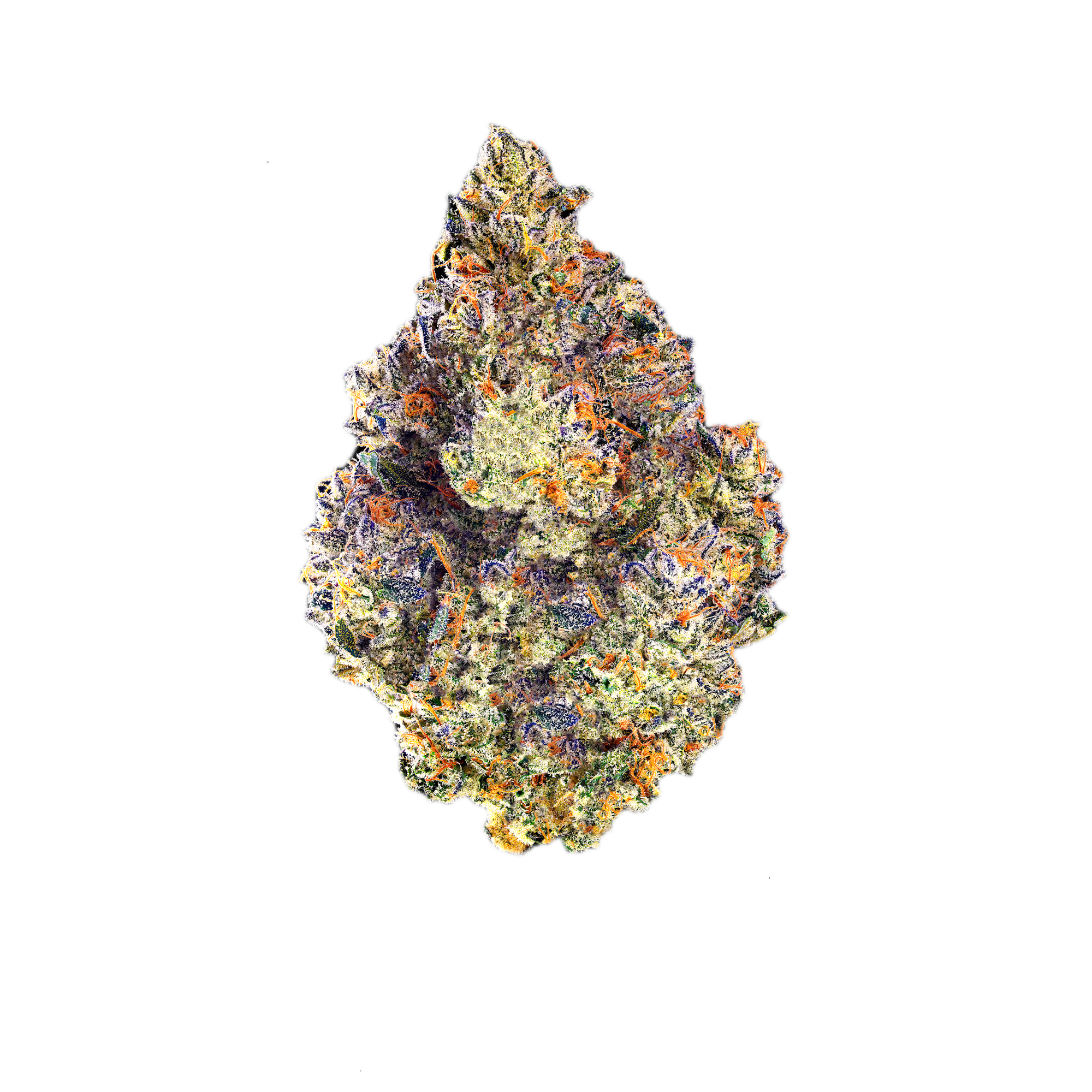 Maven Genetics | Chem 51 | 3.5g