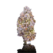 Maven Genetics | Lipsmackerz x Prizm #13 | Flower | 1g