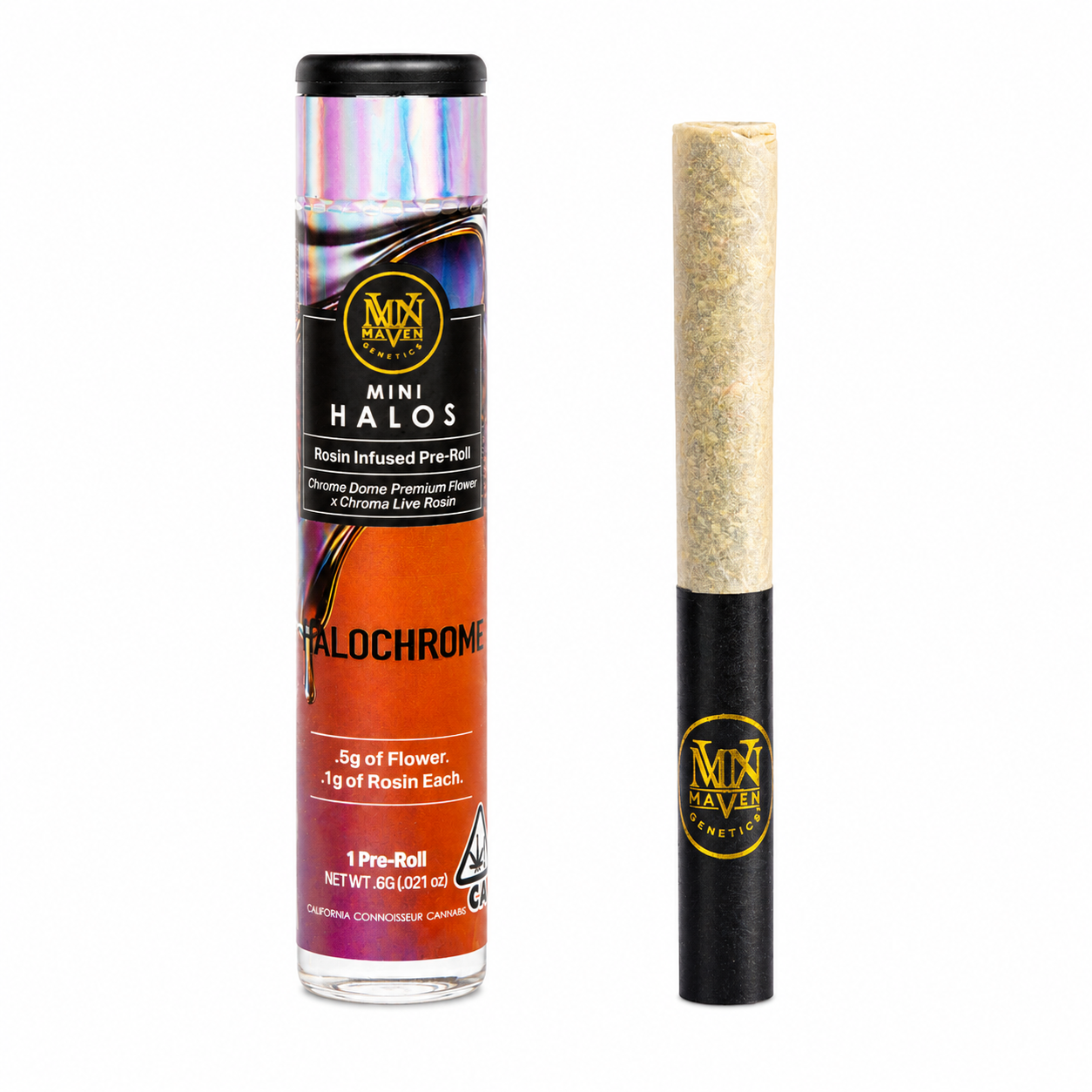 Maven Genetics | Halochrome | Mini Halos | Infused | Single
