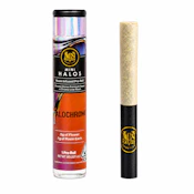 Maven Genetics | Halochrome | Mini Halos | Infused | Single